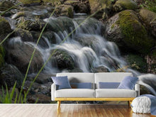 Load image into Gallery viewer, Photo Wallpaper Inspiration waterfall
