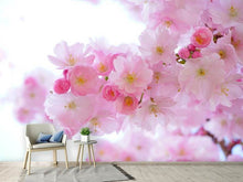 Load image into Gallery viewer, Photo Wallpaper Japanese cherry blossom XL
