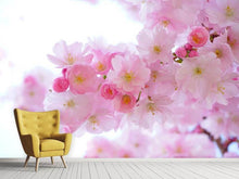 Load image into Gallery viewer, Photo Wallpaper Japanese cherry blossom XL
