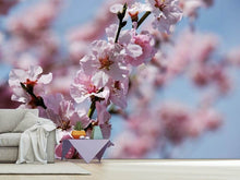 Load image into Gallery viewer, Photo Wallpaper Japanese cherry tree close up
