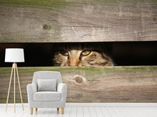Load image into Gallery viewer, Photo Wallpaper Cat in hiding
