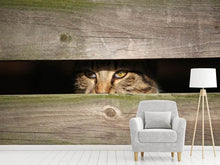 Load image into Gallery viewer, Photo Wallpaper Cat in hiding
