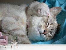 Load image into Gallery viewer, Photo Wallpaper Cats mom with baby
