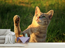 Load image into Gallery viewer, Photo Wallpaper Cats game
