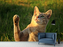 Load image into Gallery viewer, Photo Wallpaper Cats game
