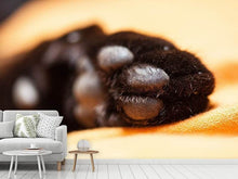 Load image into Gallery viewer, Photo Wallpaper cat&#39;s paw
