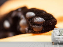 Load image into Gallery viewer, Photo Wallpaper cat&#39;s paw
