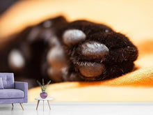 Load image into Gallery viewer, Photo Wallpaper cat&#39;s paw
