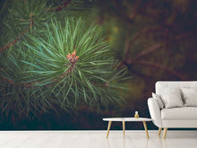 Load image into Gallery viewer, Photo Wallpaper Pine tree close up
