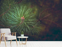 Load image into Gallery viewer, Photo Wallpaper Pine tree close up
