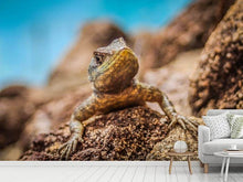 Load image into Gallery viewer, Photo Wallpaper Little alligator
