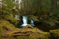 Photo Wallpaper Small waterfall in the forest