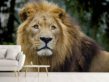 Load image into Gallery viewer, Photo Wallpaper King of wildlife
