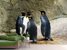 Load image into Gallery viewer, Photo Wallpaper King penguins
