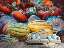 Load image into Gallery viewer, Photo Wallpaper Pumpkin types
