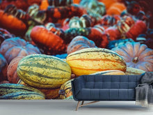 Load image into Gallery viewer, Photo Wallpaper Pumpkin types
