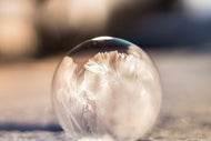 Photo Wallpaper Ornate bubble