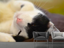 Load image into Gallery viewer, Photo Wallpaper Cuddly cat
