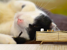 Load image into Gallery viewer, Photo Wallpaper Cuddly cat
