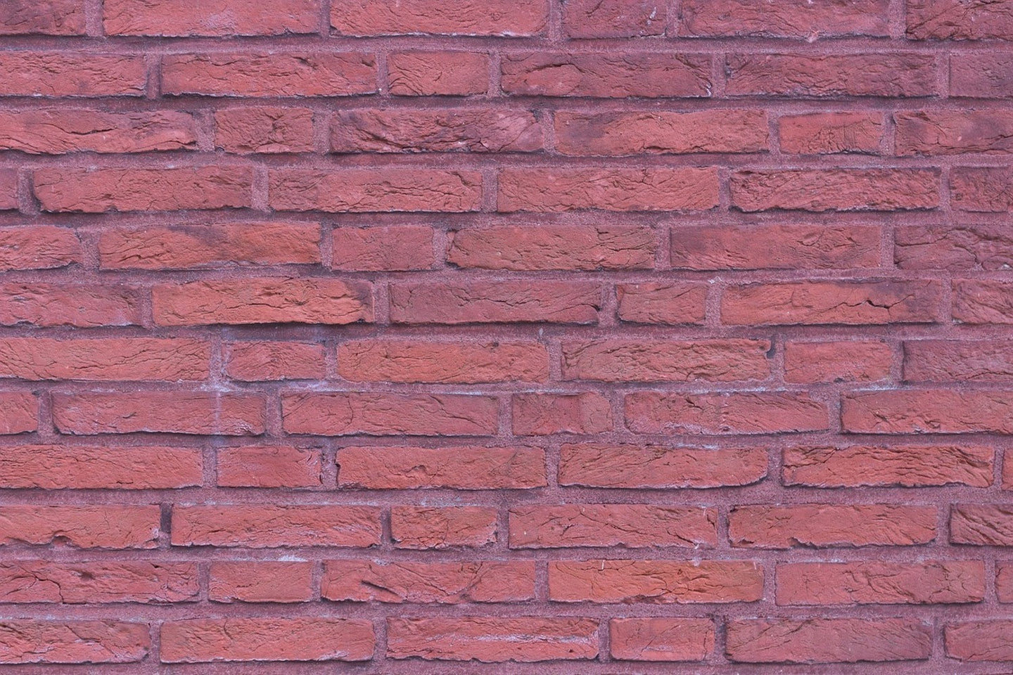 Photo Wallpaper Lacquered clinker bricks