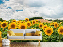Load image into Gallery viewer, Photo Wallpaper Landscape with sunflowers
