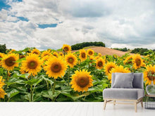 Load image into Gallery viewer, Photo Wallpaper Landscape with sunflowers
