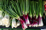 Photo Wallpaper spring onions