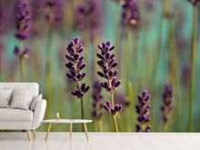 Load image into Gallery viewer, Photo Wallpaper Lavender in XL
