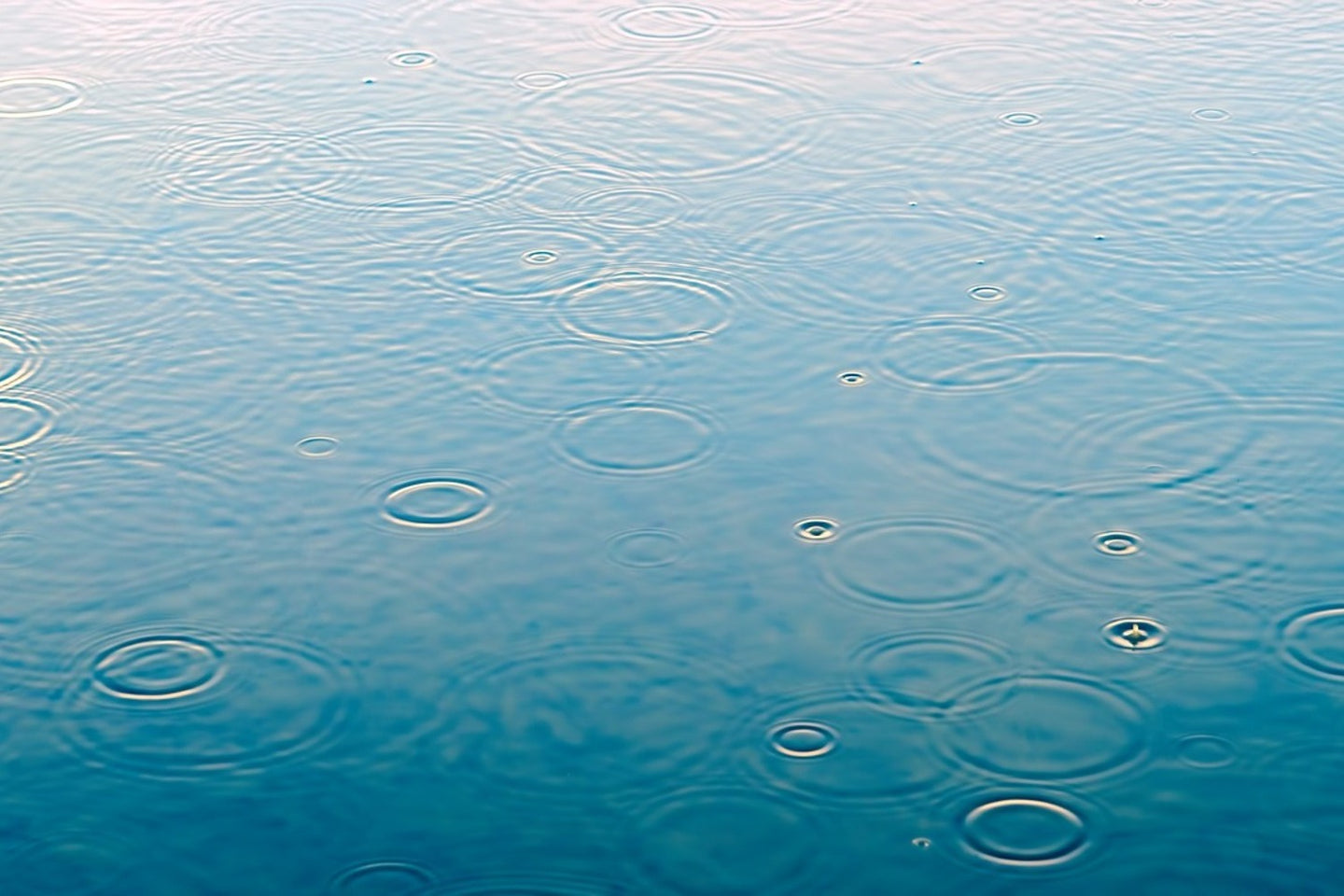 Photo Wallpaper Light raindrops