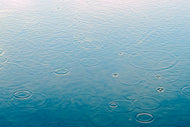 Photo Wallpaper Light raindrops