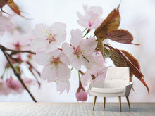 Load image into Gallery viewer, Photo Wallpaper Lovely Japanese cherry
