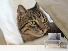 Load image into Gallery viewer, Photo Wallpaper Favorite cat
