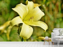 Load image into Gallery viewer, Photo Wallpaper Lilies blossom in yellow
