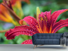 Load image into Gallery viewer, Photo Wallpaper Lily flower in pink XL
