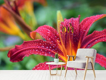 Load image into Gallery viewer, Photo Wallpaper Lily flower in pink XL
