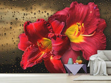 Load image into Gallery viewer, Photo Wallpaper Lily flowers with water drops
