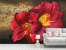 Load image into Gallery viewer, Photo Wallpaper Lily flowers with water drops
