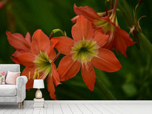 Load image into Gallery viewer, Photo Wallpaper Lilies in orange
