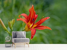 Load image into Gallery viewer, Photo Wallpaper Lily blossom in the nature
