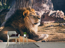 Load image into Gallery viewer, Photo Wallpaper Lion is sunning himself
