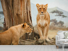 Load image into Gallery viewer, Photo Wallpaper Lions in Africa
