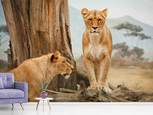 Load image into Gallery viewer, Photo Wallpaper Lions in Africa
