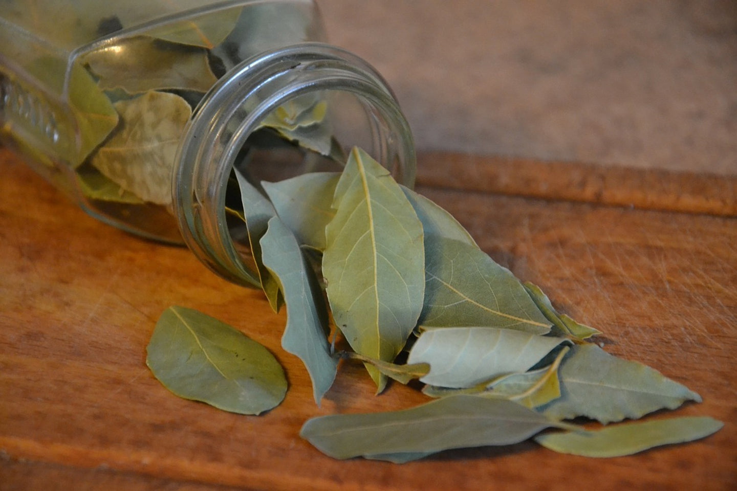 Photo Wallpaper bay leaves