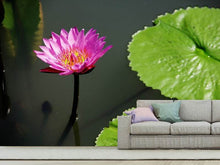 Load image into Gallery viewer, Photo Wallpaper Lotus flower in pink
