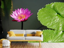 Load image into Gallery viewer, Photo Wallpaper Lotus flower in pink
