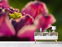 Load image into Gallery viewer, Photo Wallpaper Macro tulip in red
