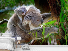 Load image into Gallery viewer, Photo Wallpaper Mom and baby koala
