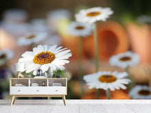 Load image into Gallery viewer, Photo Wallpaper Daisies XL
