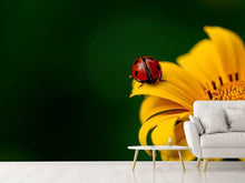 Load image into Gallery viewer, Photo Wallpaper Ladybug on the sunflower
