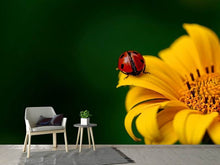 Load image into Gallery viewer, Photo Wallpaper Ladybug on the sunflower
